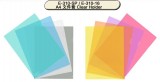 DATA BANK E310-SP A4文件套(12入) 