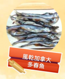 風乾加拿大多春魚 40g